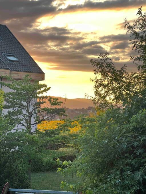 Appartement Calme Et Lumineux De 2,5 Pces Proche Lausanne Ecublens  Exterior foto